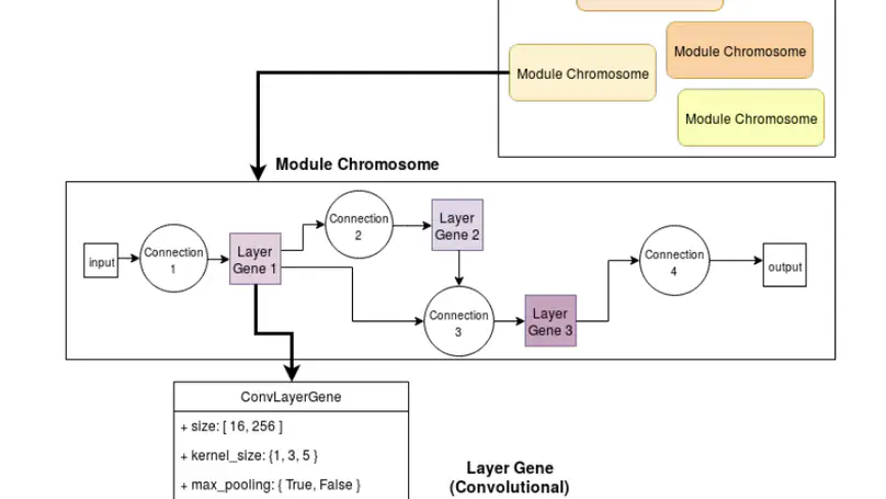 Comparing Evolutionary Algorithms for Deep Neural Networks